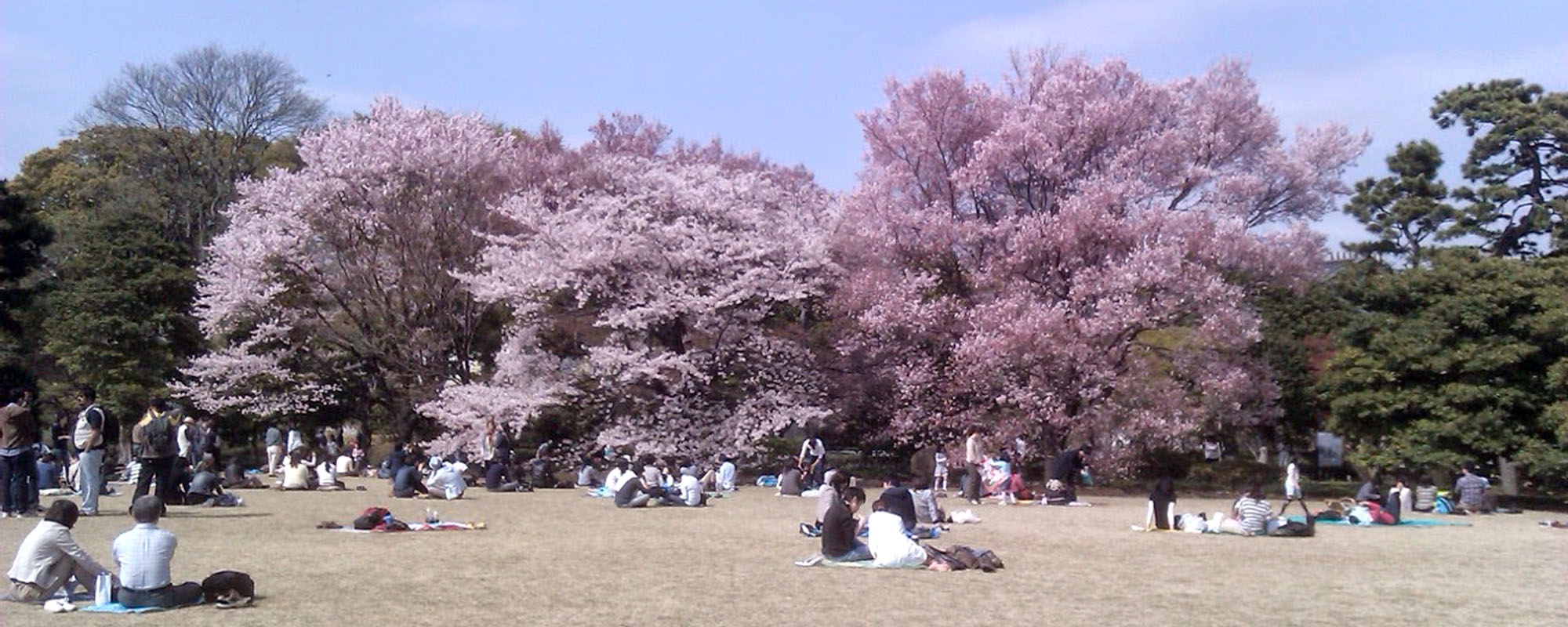 大好き神田町会